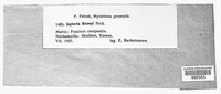 Image Associated With the Occurence